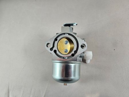Preview: Vergaser für Briggs & Stratton OHV I/C Motoren 699831 699788