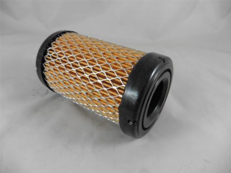 original Briggs & Stratton Wartungskit Zündkerze Luftfilter Series 4 Intek I/C OHV