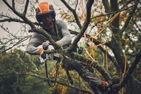 STIHL GTA 40 Akku Gehölzschneider Set 2 Akkus & Ladegerät Astschere Astsäge