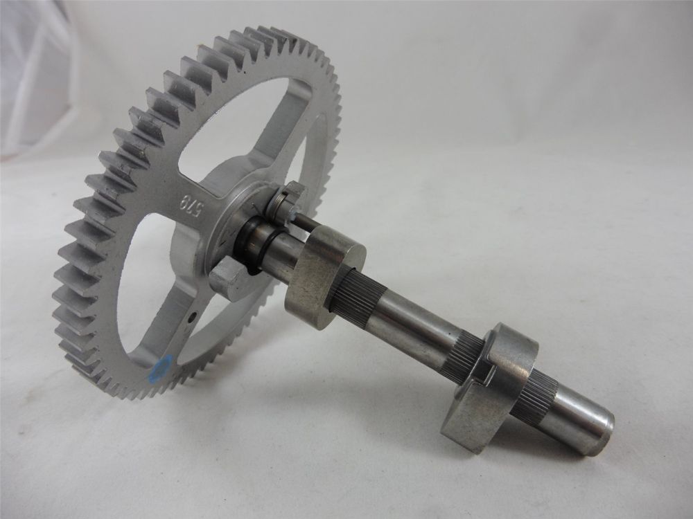 original Briggs Stratton Nockenwelle mit Dekompressionshebel 793880 Ventilstößel