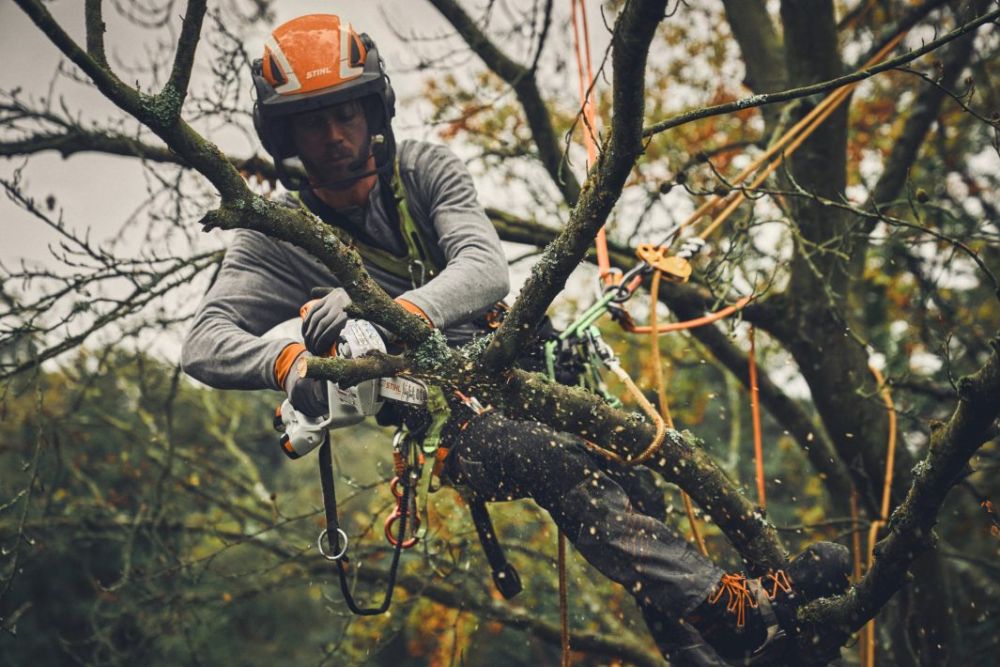 STIHL GTA 40 Akku Gehölzschneider Set 2 Akkus & Ladegerät Astschere Astsäge